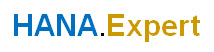 HANA.EXPERT is a leading Healthcare, Big Data, Information Security Consulting Advisory firm